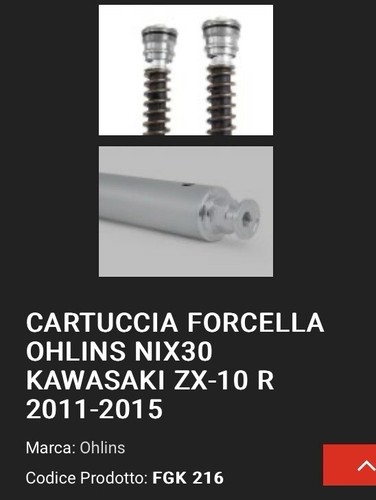 Ohlins cartuccia forcella - ohlins,